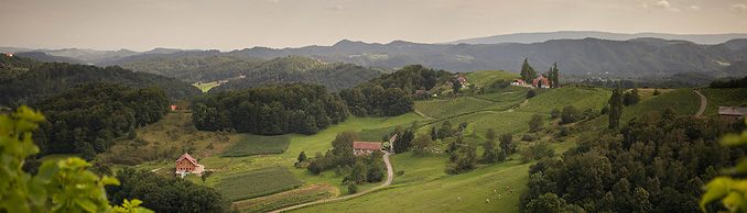 Copyright © Wolfgang Bleier, Austria „vineyards“